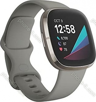 Fitbit scythe activity tracker salbeigrau/stainless steel silver 
