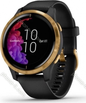 Garmin Venu black/gold 