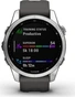 Garmin Fenix 7S silver/graphite