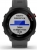 Garmin Forerunner 55 monterra grey 
