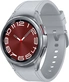 Samsung Galaxy Watch 6 Classic LTE 43mm silver