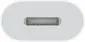 Apple USB-C on Lightning adapter adapter