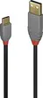 Lindy 3m USB 2.0 type C an A cable Anthra Line