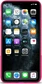 Artwizz NextSkin для Эпл Айфон 11 Про Макс berry