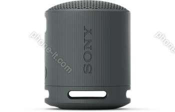 Sony SRS-XB100 black