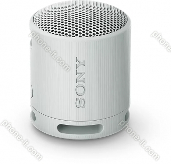 Sony SRS-XB100 grey