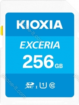 KIOXIA EXCERIA R100 SDXC 256GB, UHS-I U1, Class 10