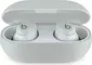 Apple Beats Solo Buds grey