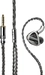 FiiO FH19