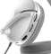 Turtle Beach Recon 200 Gen 2 белый